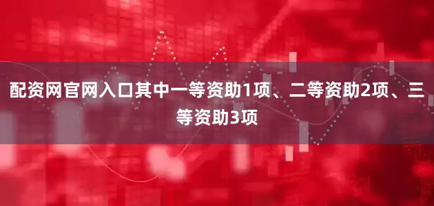 配资网官网入口其中一等资助1项、二等资助2项、三等资助3项