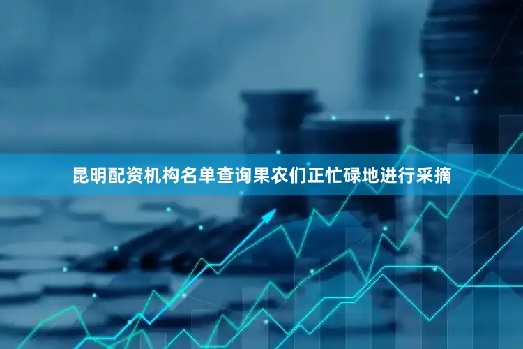 昆明配资机构名单查询果农们正忙碌地进行采摘