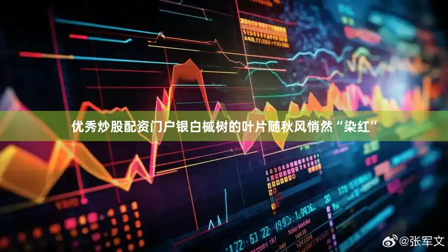 优秀炒股配资门户银白槭树的叶片随秋风悄然“染红”